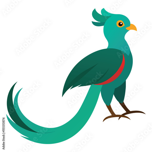 Quetzal bird illustration 