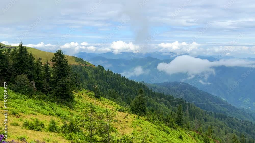 The plateau is covered with clouds that move over the mountain valley. The movement of the fog creeping over the hills at dawn. Mountains and fog on the Pokut plateau in the highlands of the Black Sea The plateau is covered with clouds that move over the mountain valley. The movement of the fog creeping over the hills at dawn. Mountains and fog on the Pokut plateau in the highlands of the Black Sea