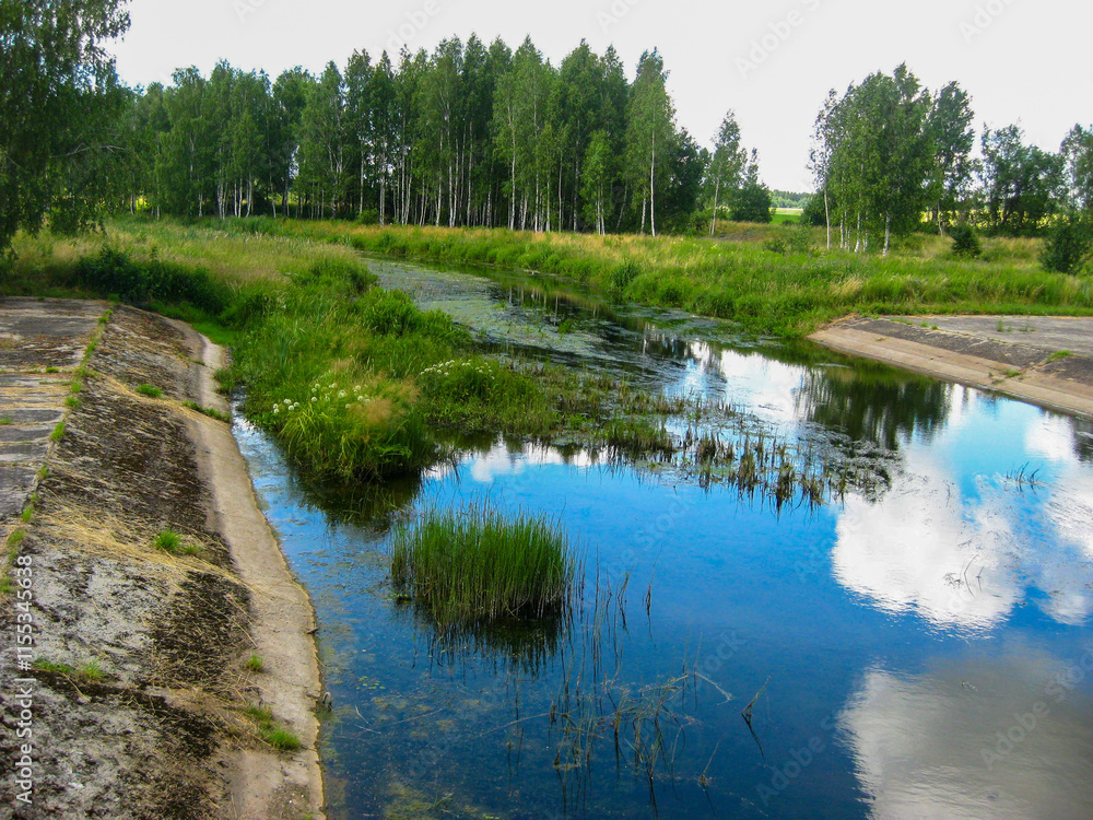 A water channel in the forest A water channel in the forest