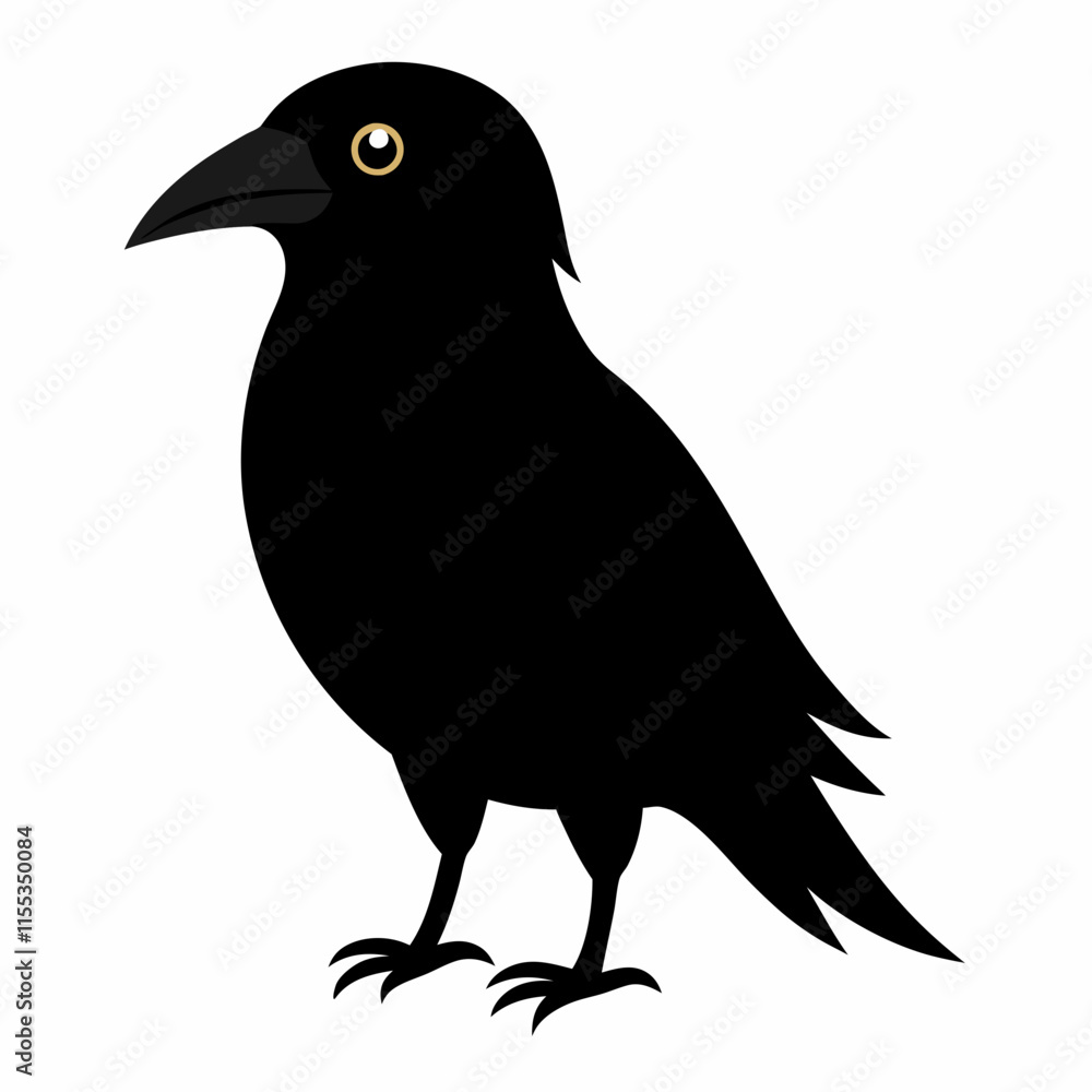 black crow isolated black crow isolated