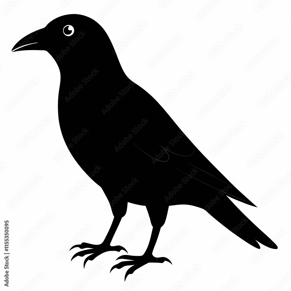 Obraz premium black crow isolated