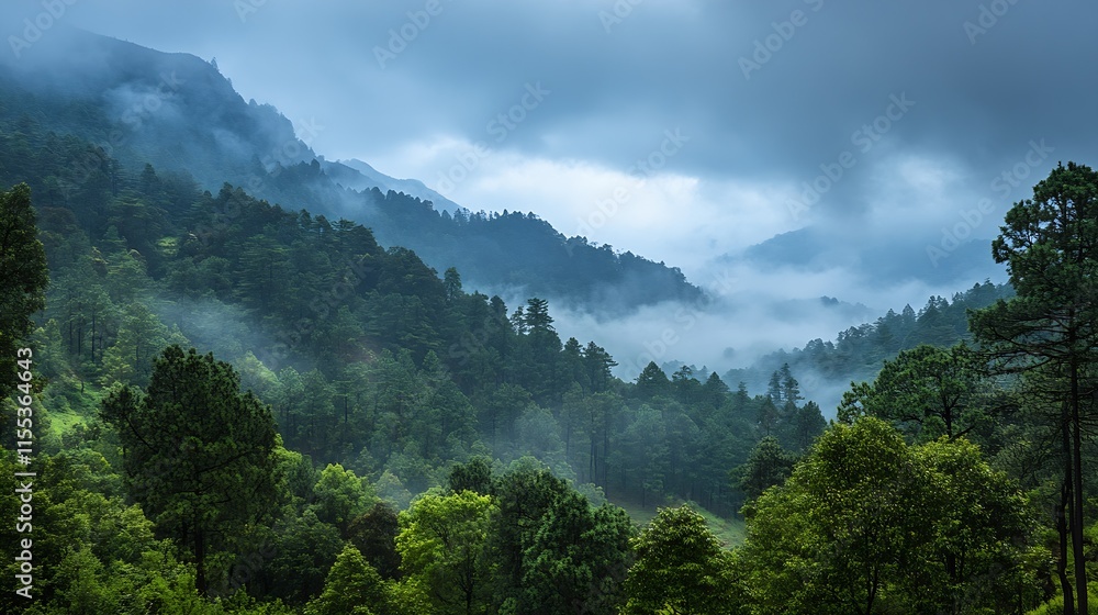 Obraz premium MistCovered Mountain Forest with Lush Green Trees and Moody Atmospheric Ambiance : Generative AI