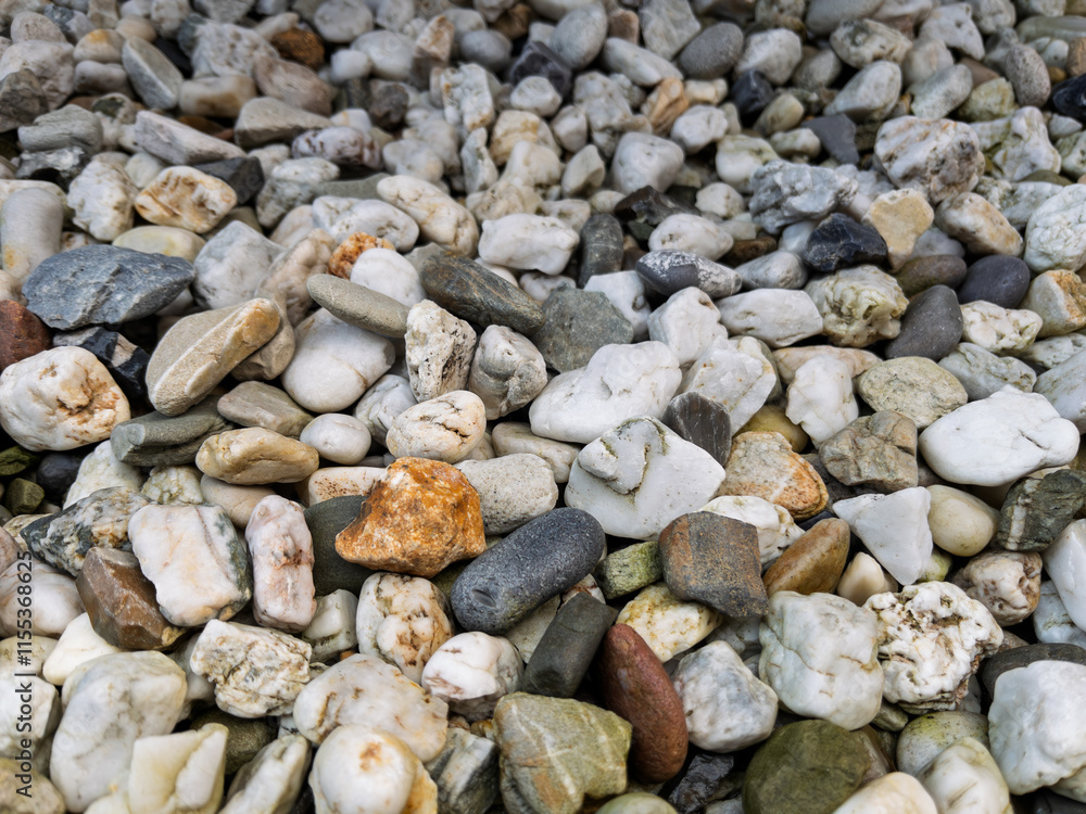 Diverse Collection of Smooth River Stones and Pebbles Diverse Collection of Smooth River Stones and Pebbles