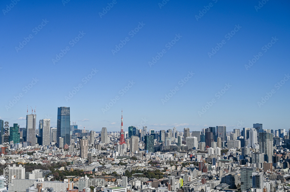 Obraz premium 東京の都市風景