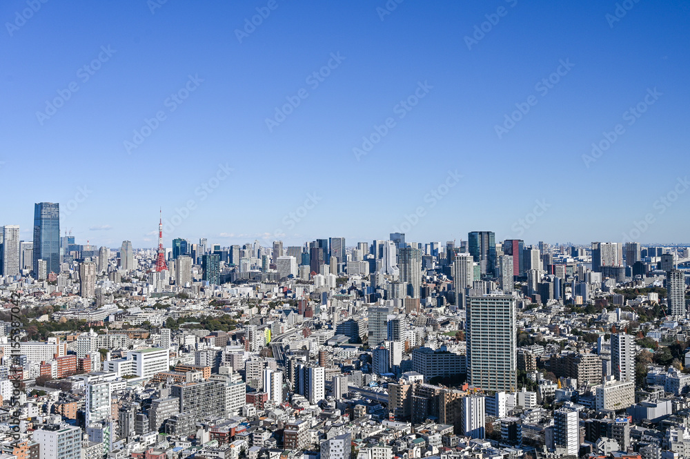 Fototapeta premium 東京の都市風景