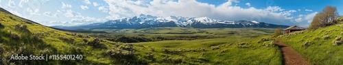 Wallpaper Mural Panoramic shot of a green alpine landscape with snow-capped mountains in the background, on a sunny day with a blue sky and white clouds. A dirt path on the right side leads to a small house Torontodigital.ca