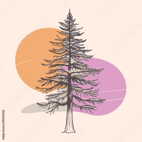 A Redwood tree black color silhouette