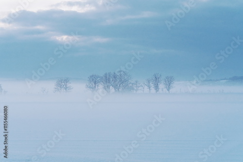 Wallpaper Mural 雪原に立つ冬木立 Torontodigital.ca