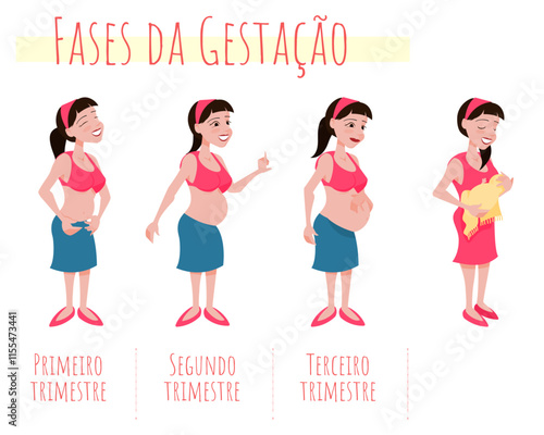 Stages of Pregnancy - development by Trimester - Portuguese language