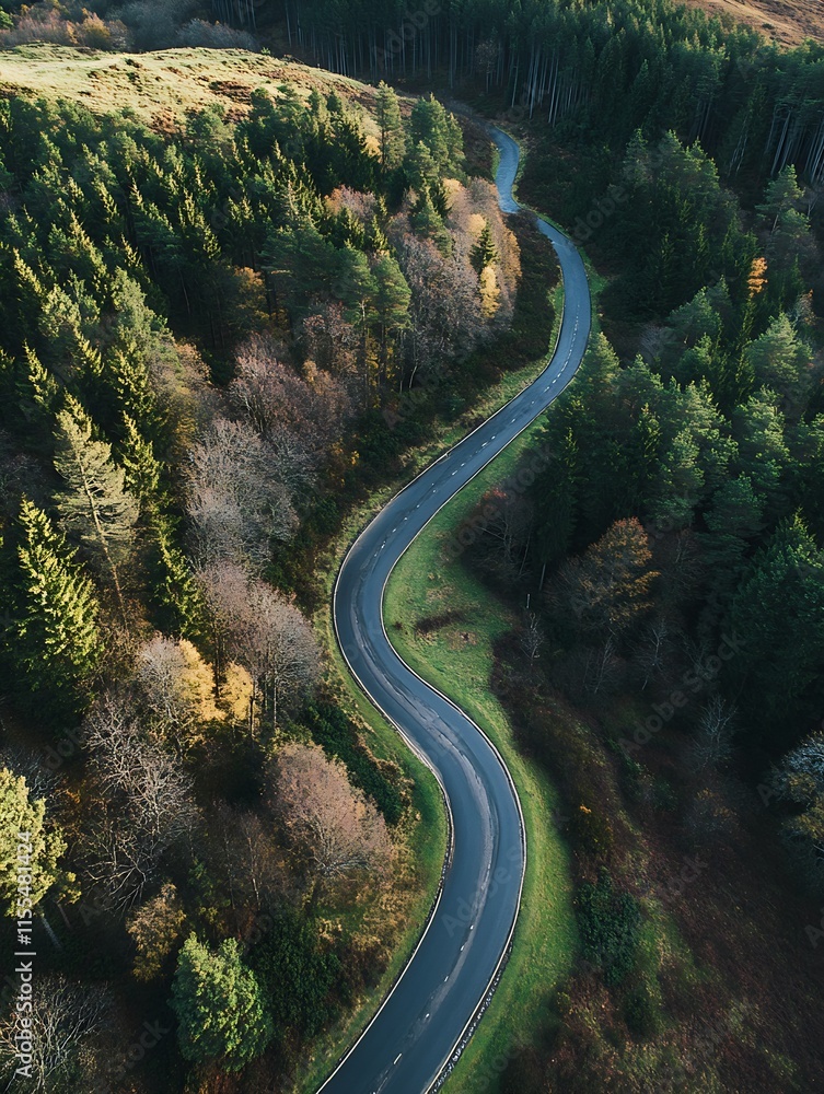 Fototapeta premium Winding Forest Road in Autumn with Vibrant Foliage and Dense Woods : Generative AI