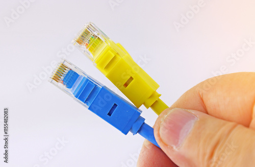 The hand holds the Rj45 connector with a wire for connecting the Internet.  photo