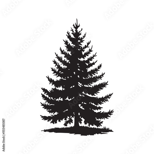  Pino tree silhouette vector illustration
