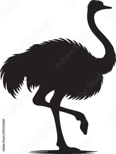 Silhouette of an ostrich