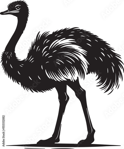 Silhouette of an ostrich