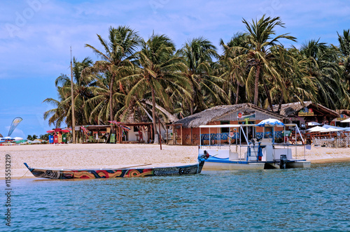 Gunga's Beach, Praia do Gunga,, a wild beach with clear waters and a lot of coconut trees. Alagoas, Brazil, 2016 photo