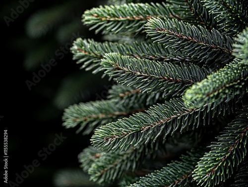 A close up of a pine tree with green needles photo