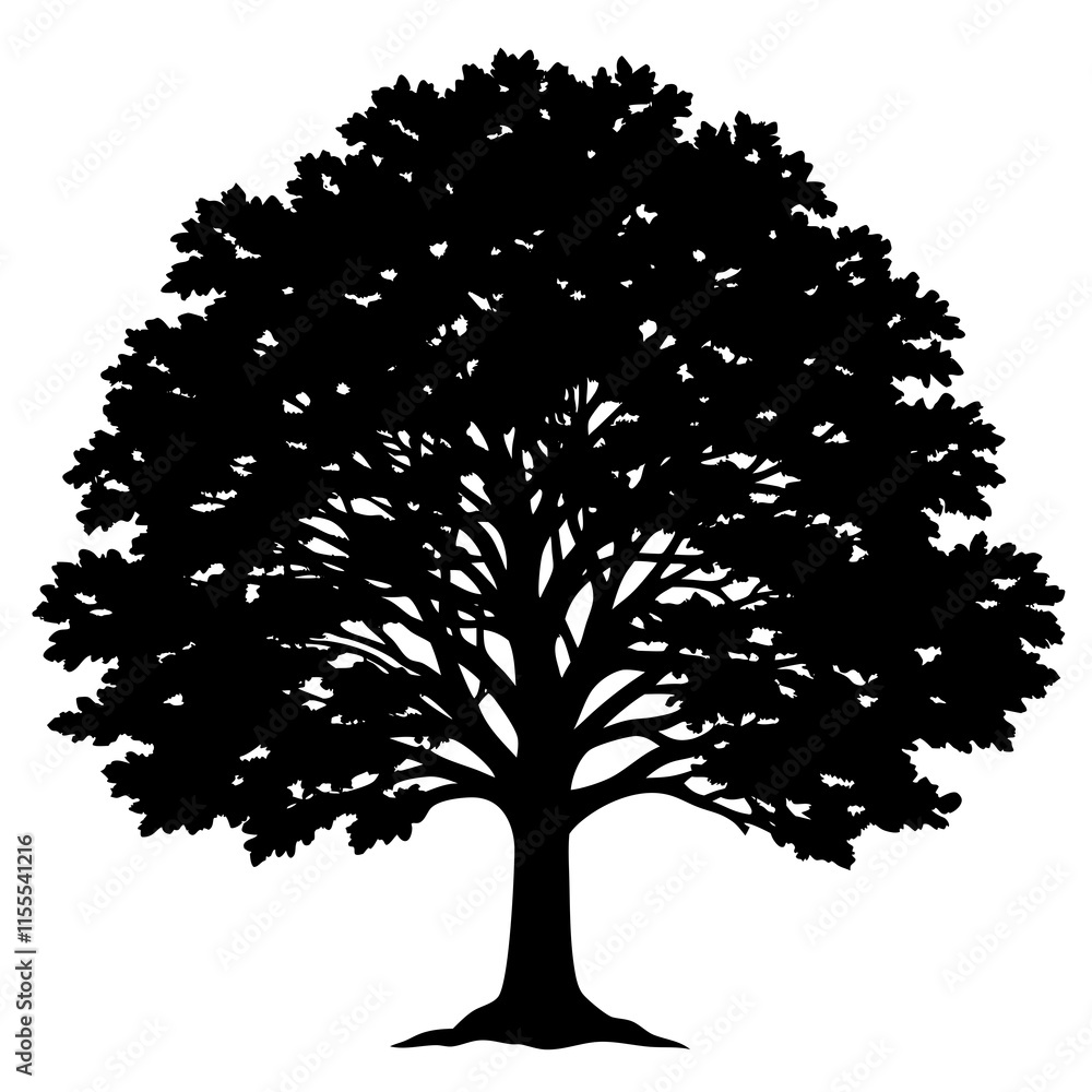 Fototapeta premium silhouette of a tree