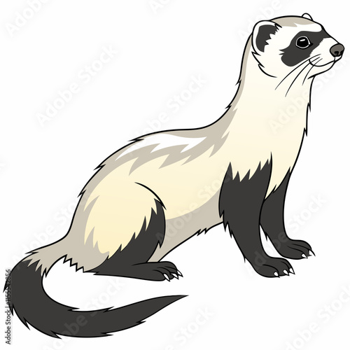 Black-footed ferret digital illustration, wildlife art, conservation species, endangered animal, vector design, nature print.