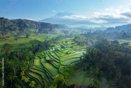 Aerial Landscape of lush Rice Fields and Mount Agung – Sustainable Agriculture in Bali Countryside - Tropical Nature
