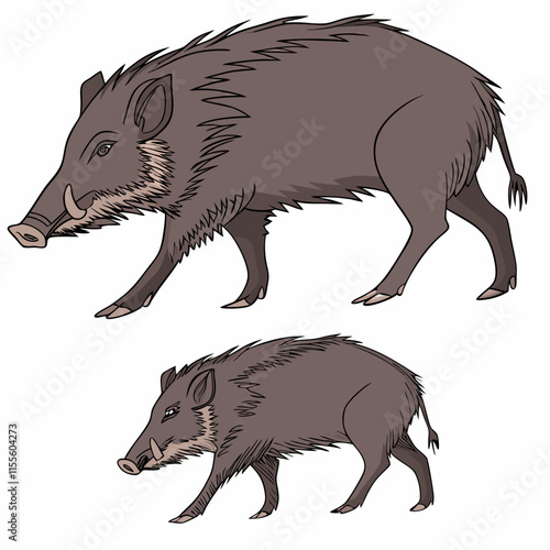 Peccaries are wild, pig-like mammals found in the Americas, often with distinctive tusks and a unique, rugged appearance.