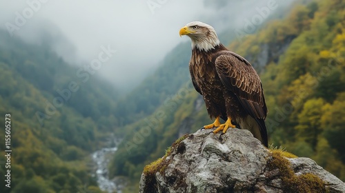 Majestic bald eagle perched on a rock with wings spread wide in a mountainous...