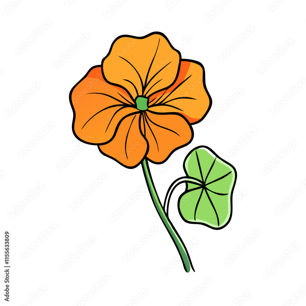 Obraz premium nasturtium flower illustration, flower vector art, flower icon - Minimalistic flat illustration of nasturtium flower flower, perfect for icons, logos, and floral-themed designs.