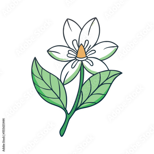 anemopsis yerba mansa icon, flower line art, flower icon - Minimalistic black outline illustration of anemopsis yerba mansa flower, perfect for icons, logos, and floral-themed designs.

