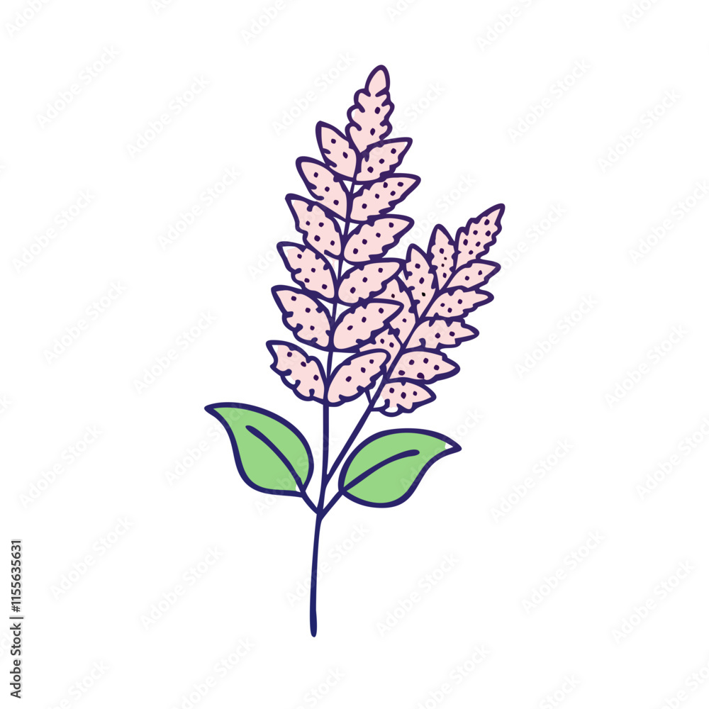 astilbe flower illustration, flower vector art, flower icon - Minimalistic flat illustration of astilbe flower flower, perfect for icons, logos, and floral-themed designs.

