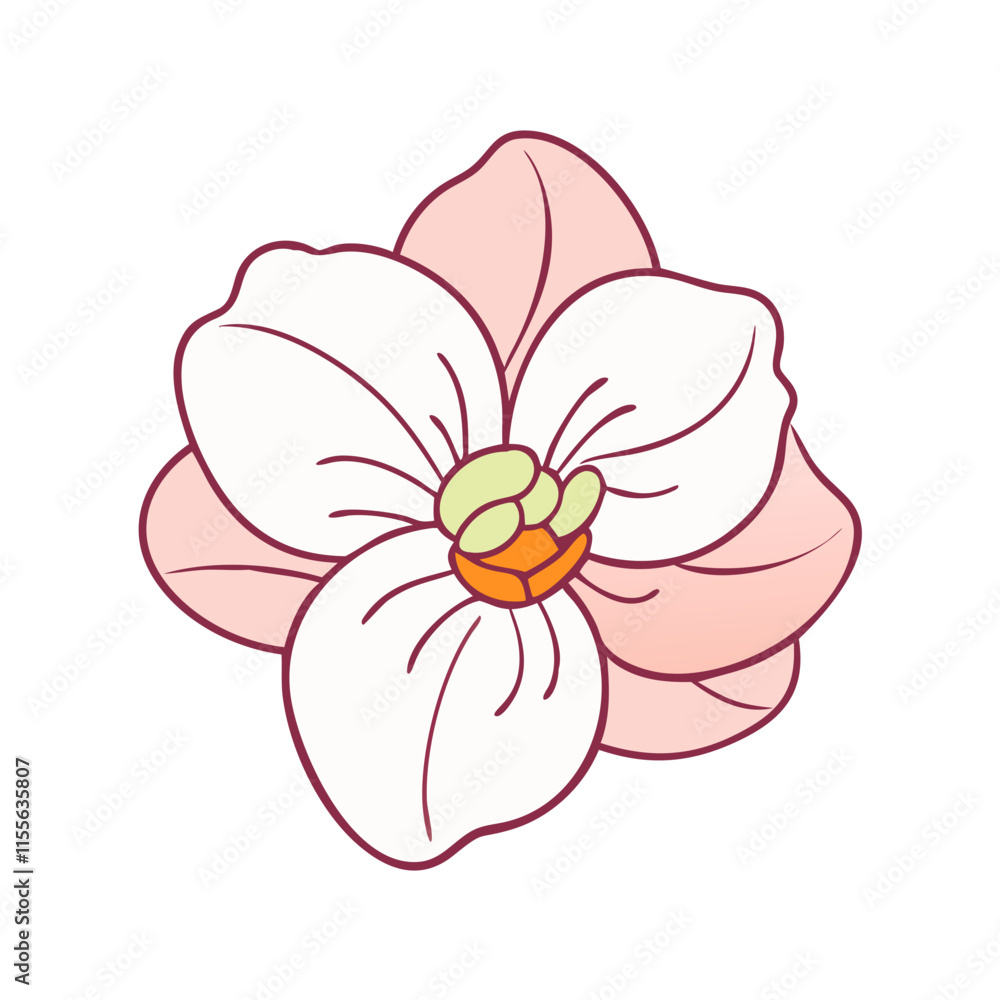 Fototapeta premium begonia flower illustration, flower vector art, flower icon - Minimalistic flat illustration of begonia flower flower, perfect for icons, logos, and floral-themed designs.