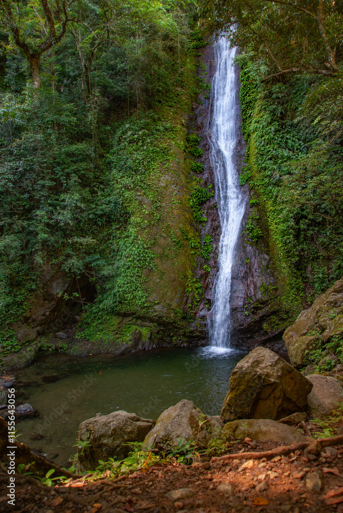 waterfall in the forest waterfall in the forest