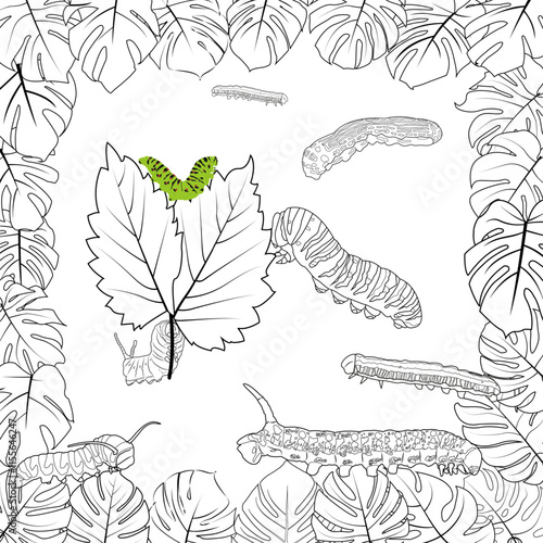 doodle of a group of caterpillars, accompanied by various shapes and sizes of leaves, ideal for children's education, creative projects, or nature themes