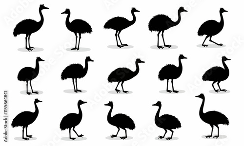 Silhouettes of Emus in Various Poses