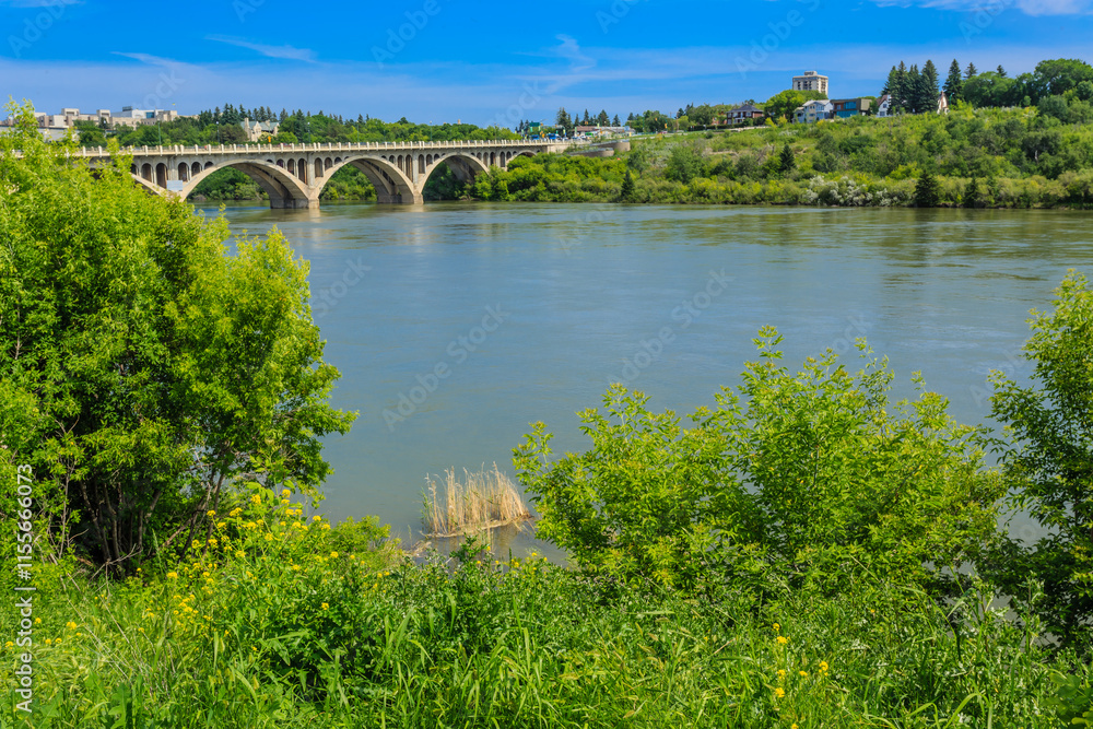 A bridge spans a river with a green forest on either side A bridge spans a river with a green forest on either side