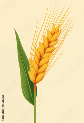 Golden Wheat Ear and Leaf Illustration