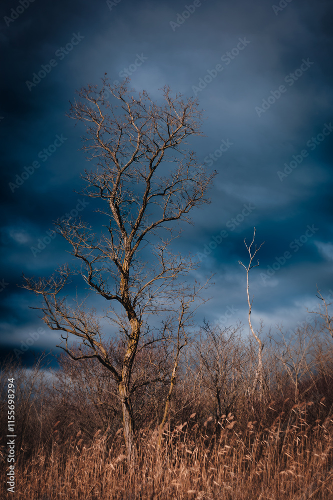 A dramatic landscape, a mystical and dark sky. A dramatic landscape, a mystical and dark sky.