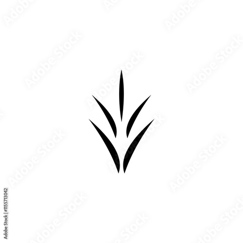 Vector drawn leaves