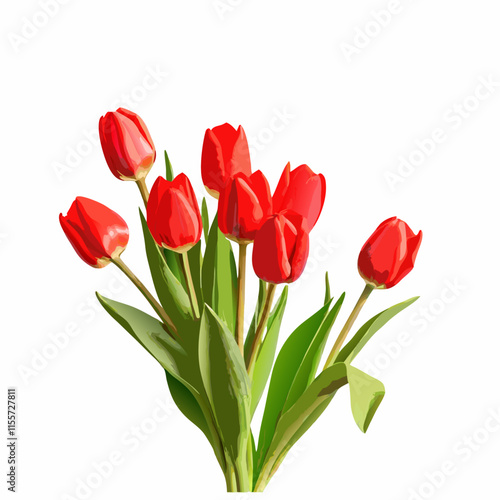 Beautiful tulip flower isolated  vector illustration (7)
