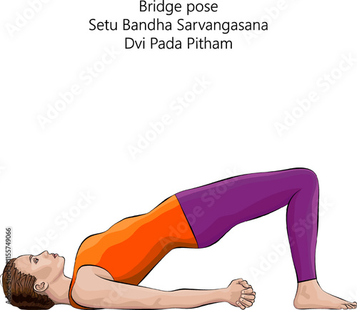Young woman practicing Setu Bandha Sarvangasana yoga pose. Dvi Pada Pitham pose. Bridge pose. Intermediate Difficulty. Isolated vector illustration.