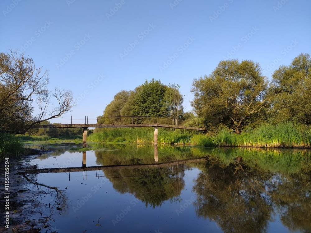 Fototapeta premium Wooden bridge over the river in the park on a sunny day