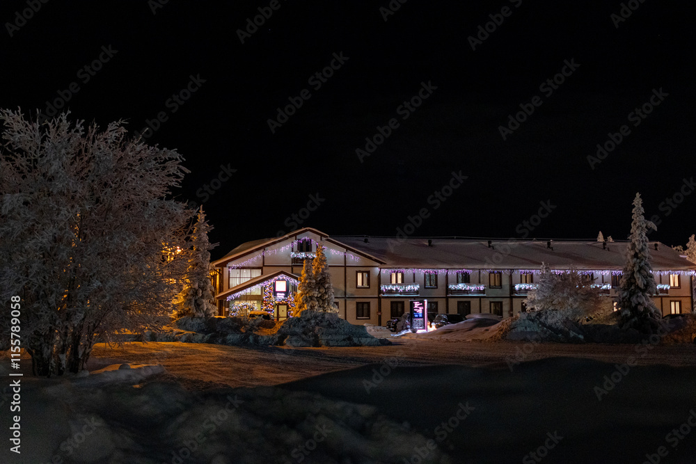 Snowy winter night scene with illuminated streetlights, frost-covered trees and a building on the side. Peaceful, cold and serene winter atmosphere. Cozy cottage in countryside Snowy winter night scene with illuminated streetlights, frost-covered trees and a building on the side. Peaceful, cold and serene winter atmosphere. Cozy cottage in countryside