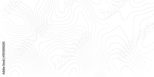1. "Monochromatic Topography Map with Detailed Contours" A high-resolution black and white topographic map showcasing intricate contour lines, highlighting the elevation changes and natural landscape 
