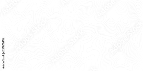 1. "Monochromatic Topography Map with Detailed Contours" A high-resolution black and white topographic map showcasing intricate contour lines, highlighting the elevation changes and natural landscape 