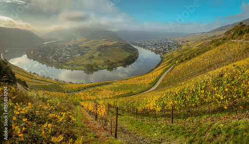 view of the Kroever vineyards in autumn season Germany Moselle River Valley photo