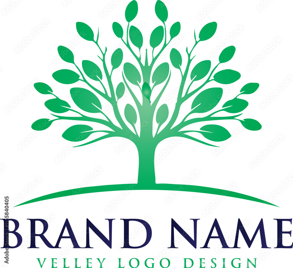 Fototapeta premium tree logo vector illustration, circle nature tree logo template