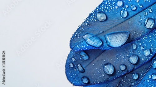 Blue feather macro with water droplets on a soft background featuring ample copy space for text or design purposes.