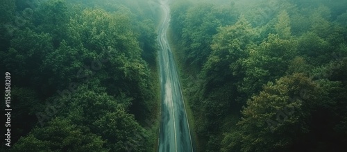 Aerial perspective of a serene highway winding through dense green forests with ample space for text overlay and natural beauty photo