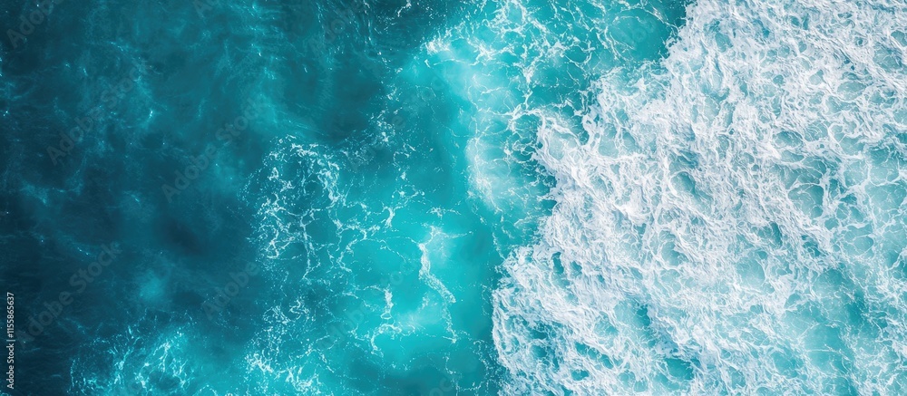 Fototapeta premium Aerial view of dolphins swimming in turquoise ocean showcasing migration patterns with space for text overlay