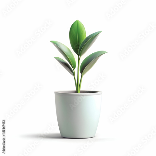 A simple, elegant minimalist plant