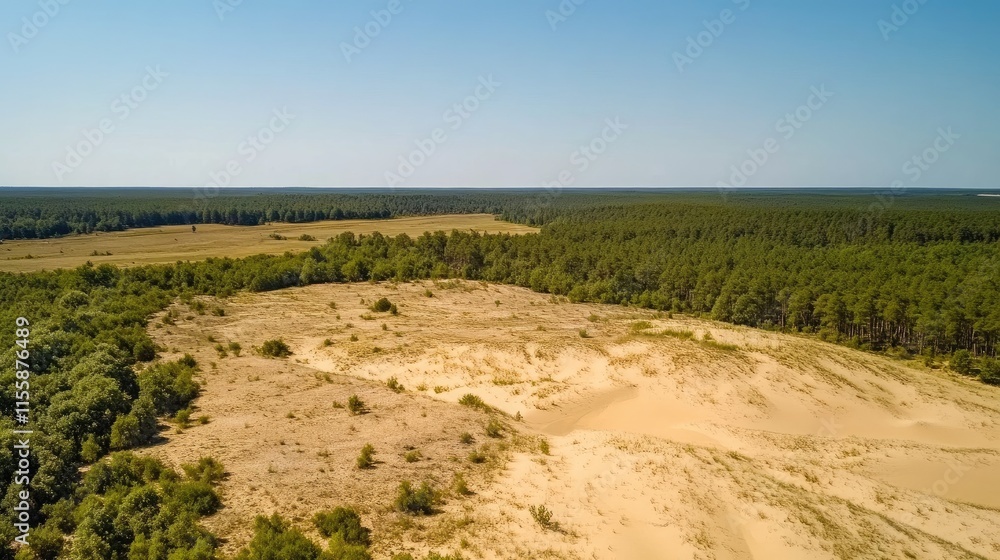 Aerial view of sandy dunes and lush forest under a clear blue sky ideal for eco-friendly vacation concepts with space for text placement Aerial view of sandy dunes and lush forest under a clear blue sky ideal for eco-friendly vacation concepts with space for text placement