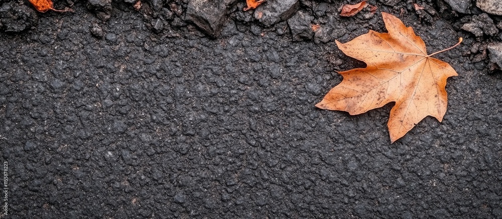 Autumn maple leaves on asphalt creating a warm seasonal scene with ample space for text in a dry environment Autumn maple leaves on asphalt creating a warm seasonal scene with ample space for text in a dry environment